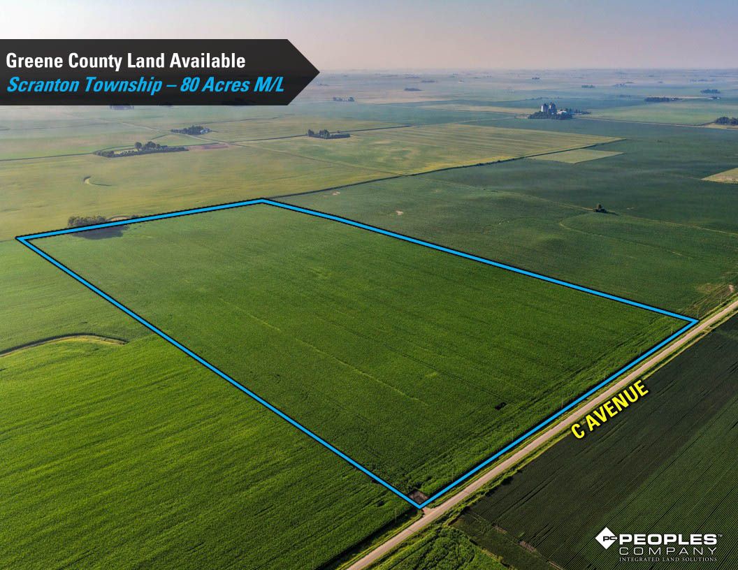 Listing Photo: Greene-County-Land-Available-Scranton-Iowa-80-Acres-19663 (16)